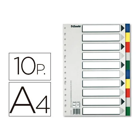 Separadores Esselte Plásticos 10 Posições Cores Sortidas
