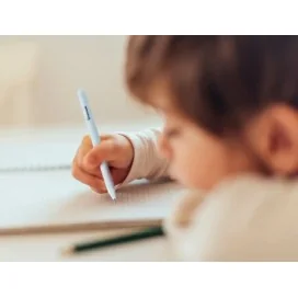 Expositor 250 Esferográficas Fantasia Liderpapel Animal Town Apagável Tinta Azul