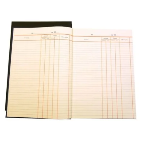 Livro de Ponto 100fls